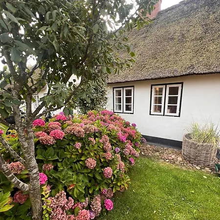 Inselidyll Alter Friesenhof Apartamento *